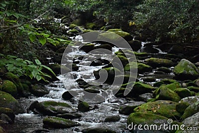 Mossy Rocks in Stream Stock Photo
