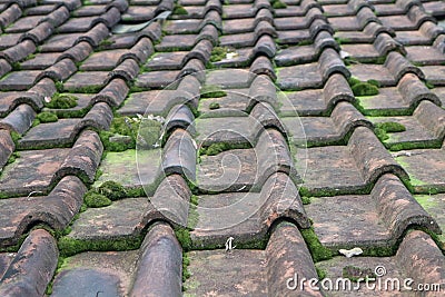 Mossy soil tiles in the tropics of Indonesia Stock Photo