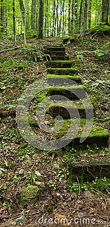 Mossy stairs in the woods Stock Photo
