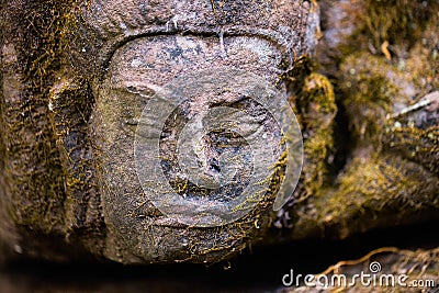 Mossy stone face Stock Photo