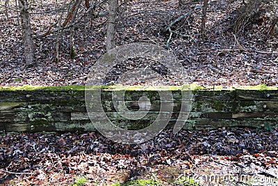 Mossy wood wall rural country backyard garden Stock Photo