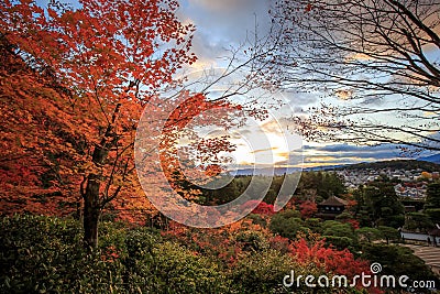 Most beautiful place of Art Zen Garden Stock Photo