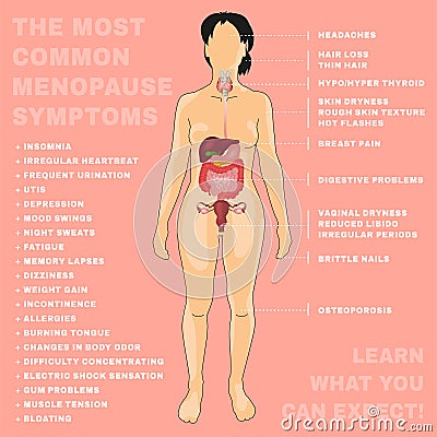 Vector Menopause Image Vector Illustration