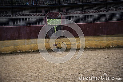 The most important Roman feature is the amphitheatre just outside the walls which is undergoing archaeological investigation Editorial Stock Photo