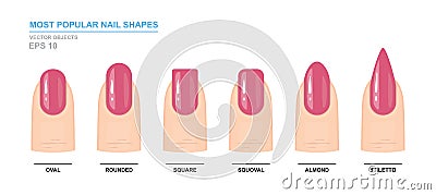 Most popular nail shapes. Different kinds of nail shapes. Manicure Guide Vector Illustration