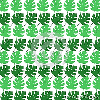 Mostera Green Leaves Pattern Background Texture Vector Illustration