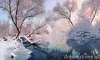 Mostly calm winter river, surrounded by trees covered with hoarfrost and snow that falls on a beautiful pink morning lighti Stock Photo