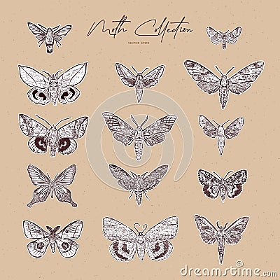 Moth collection, hand draw sketch vector Vector Illustration