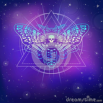 Moth Dead Head. Esoteric symbol. Vector Illustration