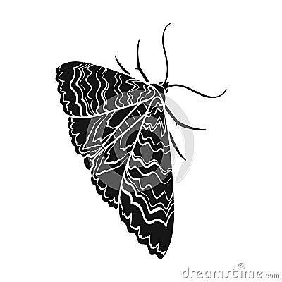 Moth, night butterfly. Insect pest moth single icon in black style vector symbol stock isometric illustration web. Vector Illustration