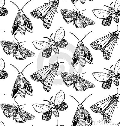 Moth seamless pattern. Hand drawn illustration of flying insects. Black and white sketches. Vector Illustration