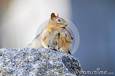 Mother and baby Stock Photo