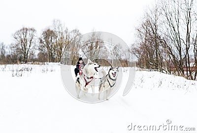 Mother with the baby daughter rush on sledge on snow. Sledding with dog Stock Photo