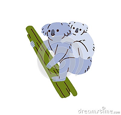 Mother and baby koala bears. Cute funny mom and kid, Australian animal family. Adorable wild mommy and child on tree Vector Illustration