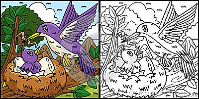 Mother Bird and Fledgling Coloring Illustration Vector Illustration