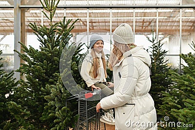 Mother and daughter choose a Christmas tree at a market. Stock Photo