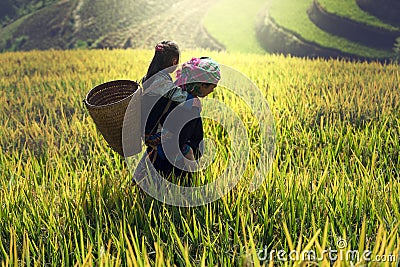 Mother and daughter on cornfield Stock Photo