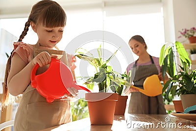 Mother and daughter watering home plants at wooden table Stock Photo