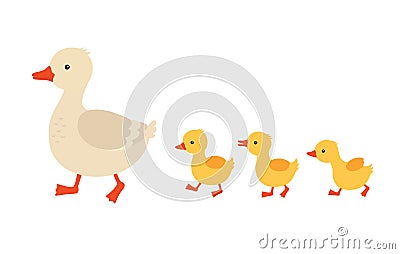 Mother duck and ducklings. Cute baby ducks walking in row. Cartoon vector illustration. Duck mother animal and family Vector Illustration