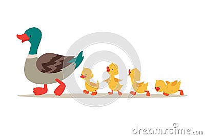 Mother duck and ducklings. Cute baby ducks walking in row. Cartoon vector illustration Vector Illustration