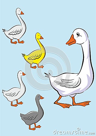 Mother duck and her little happy ducks Vector Illustration