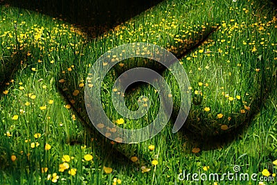 Mother Earth Stock Photo