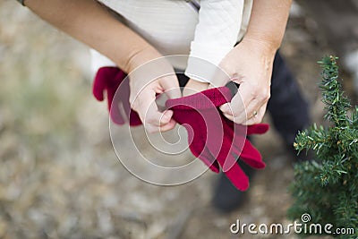 Mother Helping Put Red Mittens On A Child Stock Photo