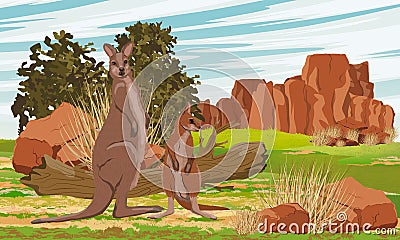 A mother and her cub of Australian big red kangaroo in the meadow near the red rocks and bushes. Vector Illustration