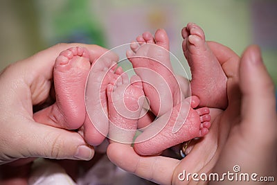A mother is holding in the hands feet of newborn triplet babies Stock Photo