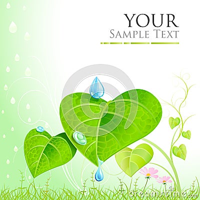 Mother nature - green leaves,mist and dew Vector Illustration