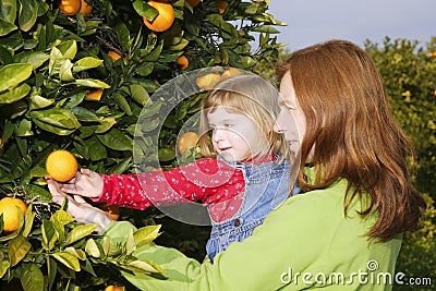 Mother showing daughter orange tree harvest Stock Photo
