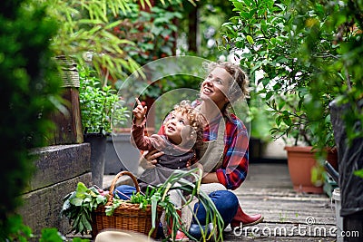 Mother with small daughter gardening on farm, growing organic vegetables. Stock Photo