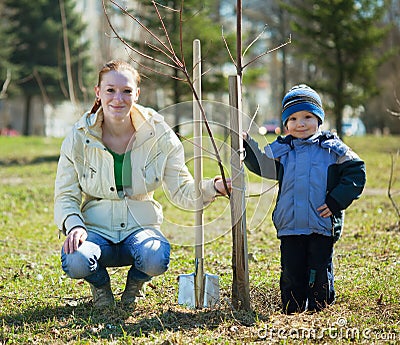 Mother and son planting tree Stock Photo