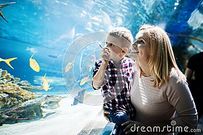 Mother and son watching sea life in oceanarium Stock Photo