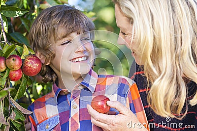 Mother Son Woman Boy Child Picking Eating Apple Stock Photo