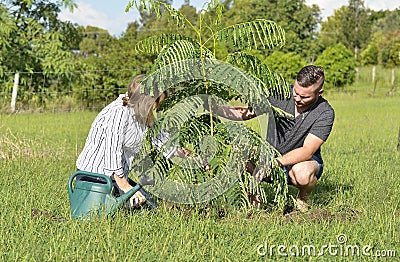 Mother teaching adult son planting a new tree and care Stock Photo