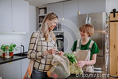 Mother unpacking local food in zero waste packaging from bag with help of daughter in kitchen at home. Stock Photo