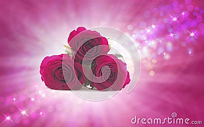 Mothering Sunday Roses for your special Mum Stock Photo