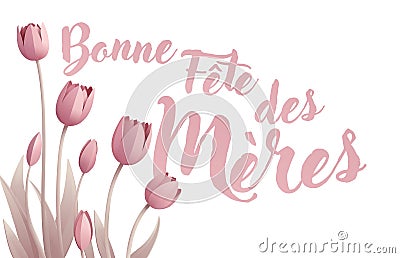 Mothers Day French Bonne Fete Des Meres Design Vector Illustration