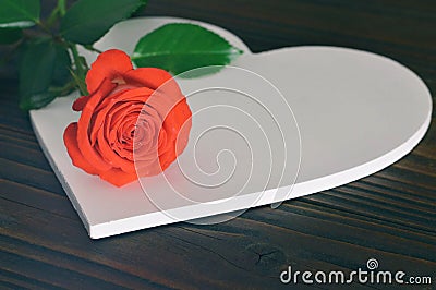 Mothers Day gift: Blank heart shaped board and rose Stock Photo