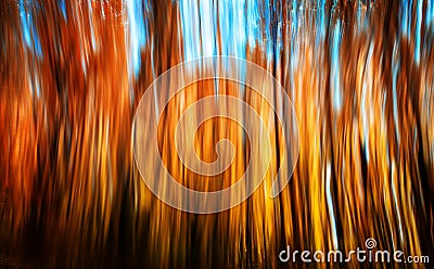 Motion blur of trees in an autumn forest Stock Photo