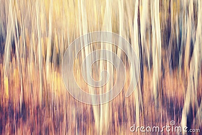 Motion blurred autumn forest, abstract nature background. Stock Photo