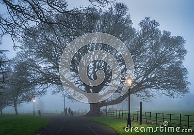 Motion blurred people walking in Farmleigh Phoenix Park at moody fog in evening, Dublin Stock Photo