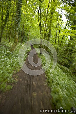 Motion blurred shot showing the view from a bike Stock Photo