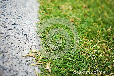 Motion radius blur about people joined the outdoor concert at the night Stock Photo