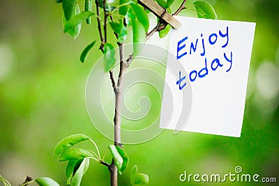 Motivating phrase enjoy today. On a green background on a branch is a white paper with a motivating phrase. Stock Photo