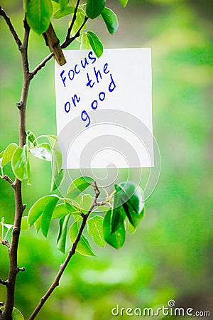 Motivating phrase focus on the good. On a green background on a branch is a white paper with a motivating phrase. Stock Photo