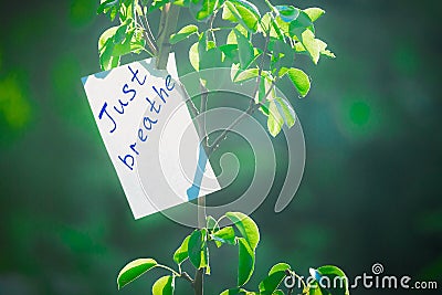 Motivating phrase just breathe. On a green background on a branch is a white paper with a motivating phrase. Stock Photo