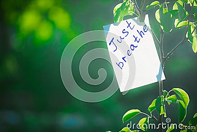 Motivating phrase just breathe. On a green background on a branch is a white paper with a motivating phrase. Stock Photo