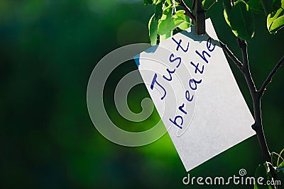 Motivating phrase just breathe. On a green background on a branch is a white paper with a motivating phrase. Stock Photo